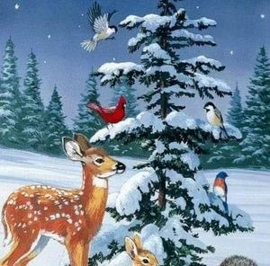 Meet your Posher, Susanne